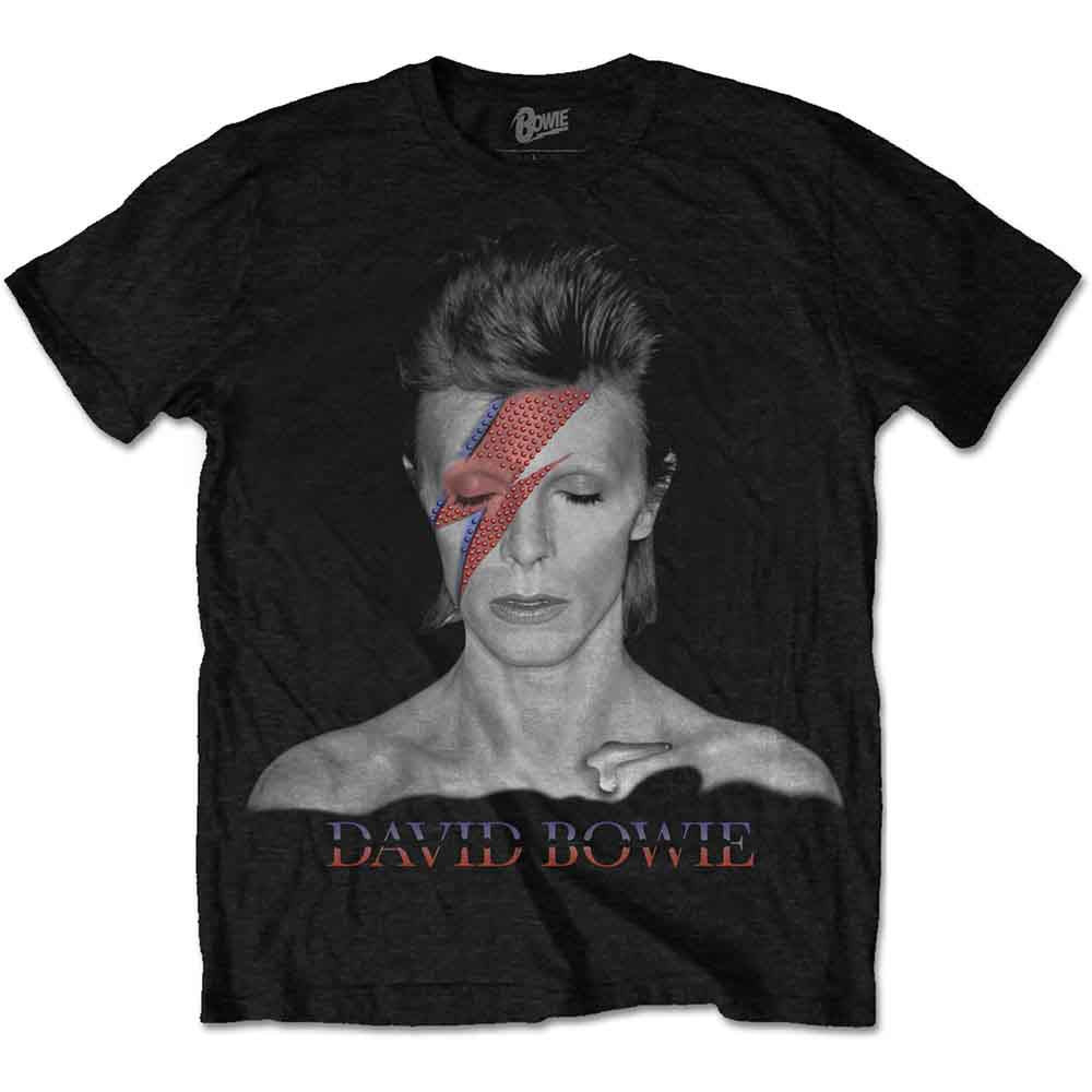 Aladdin Sane [T-Shirt] (ONLINE ORDER ONLY)