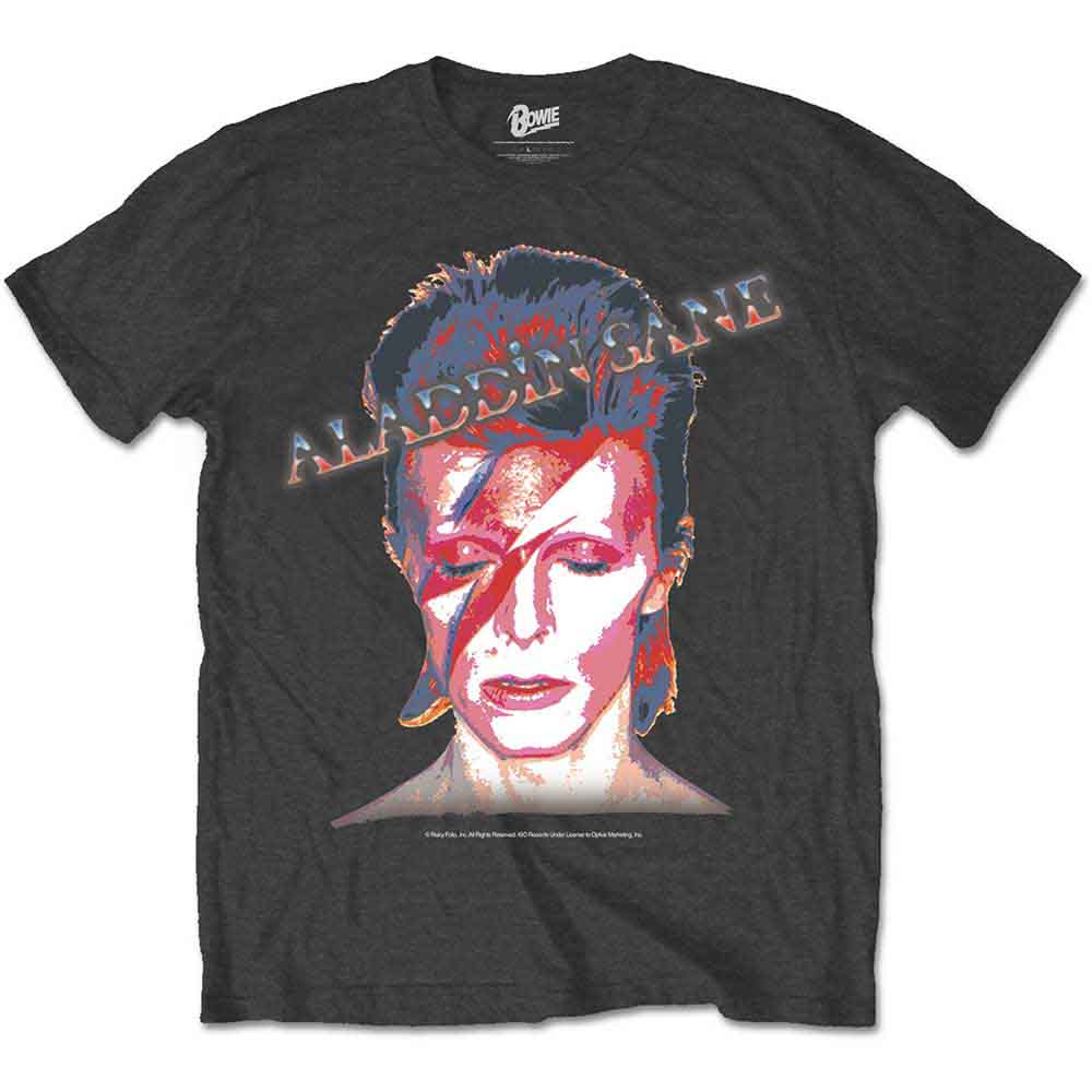 Aladdin Sane [T-Shirt] (ONLINE ORDER ONLY)