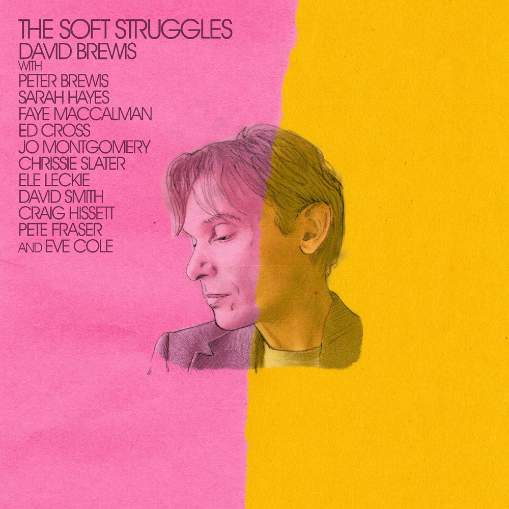 David Brewis - The Soft Struggles [Vinyl]