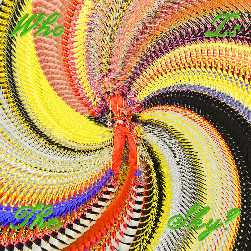 Who Is The Sky? [CD] (ONLINE ORDER ONLY)