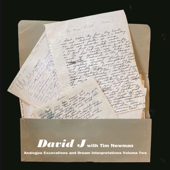 Analogue Excavations & Dream Interpretations Vol.2 [Vinyl] (ONLINE ORDER ONLY)