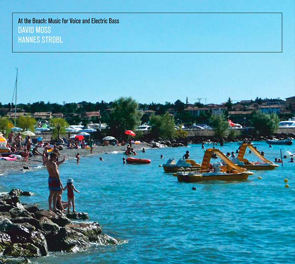 At the Beach: Music for Voice and Electric Bass [CD] (ONLINE ORDER ONLY)