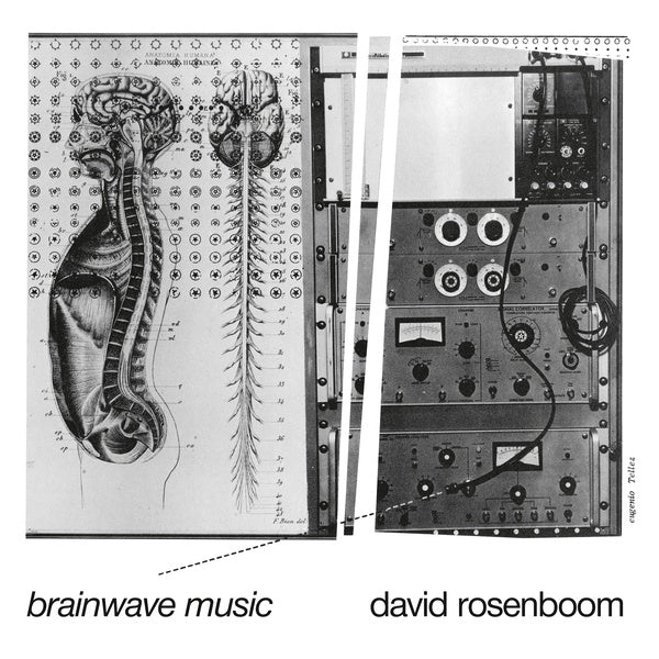 Brainwave Music [Vinyl]