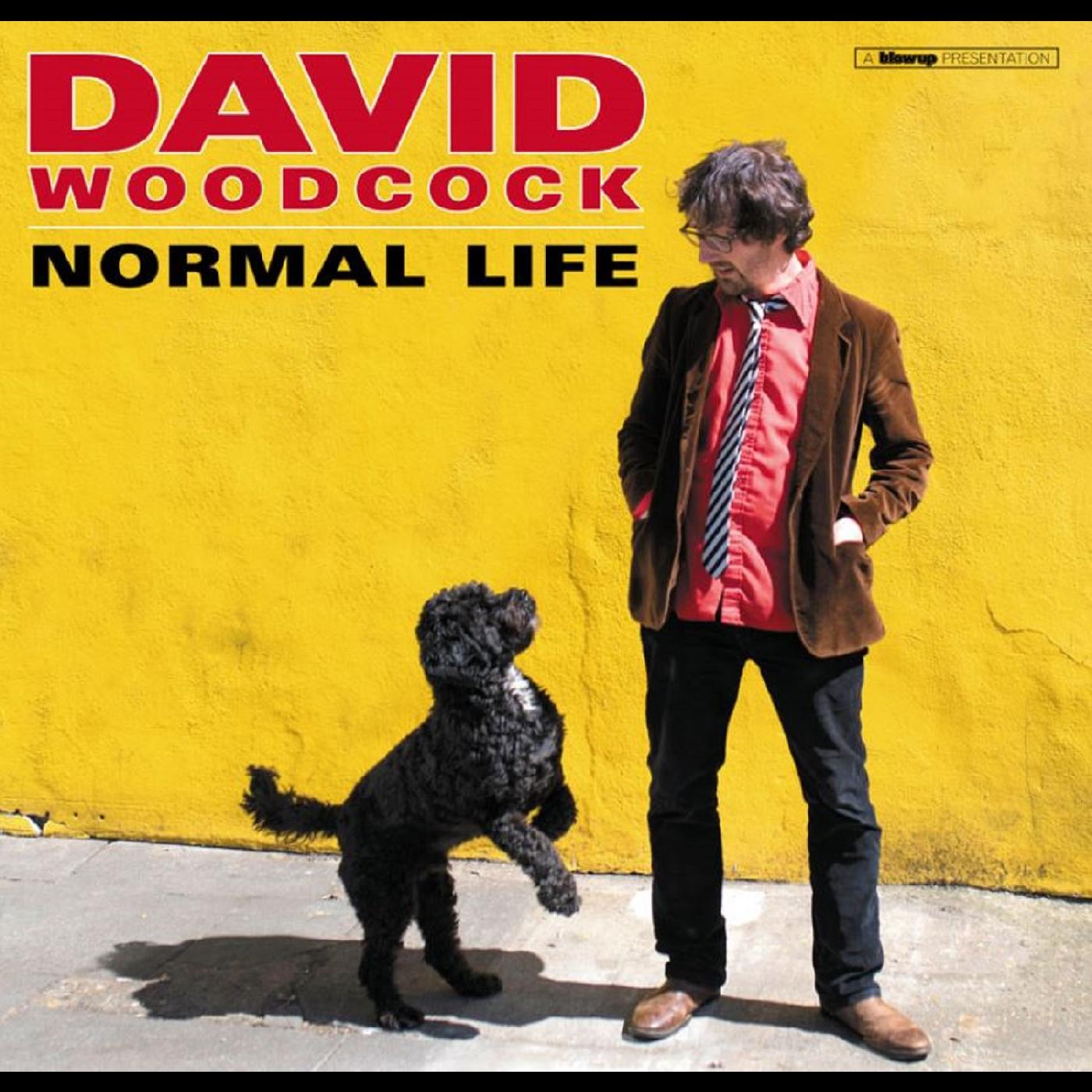 David Woodcock - Normal Life [Vinyl] (ONLINE ORDER ONLY)