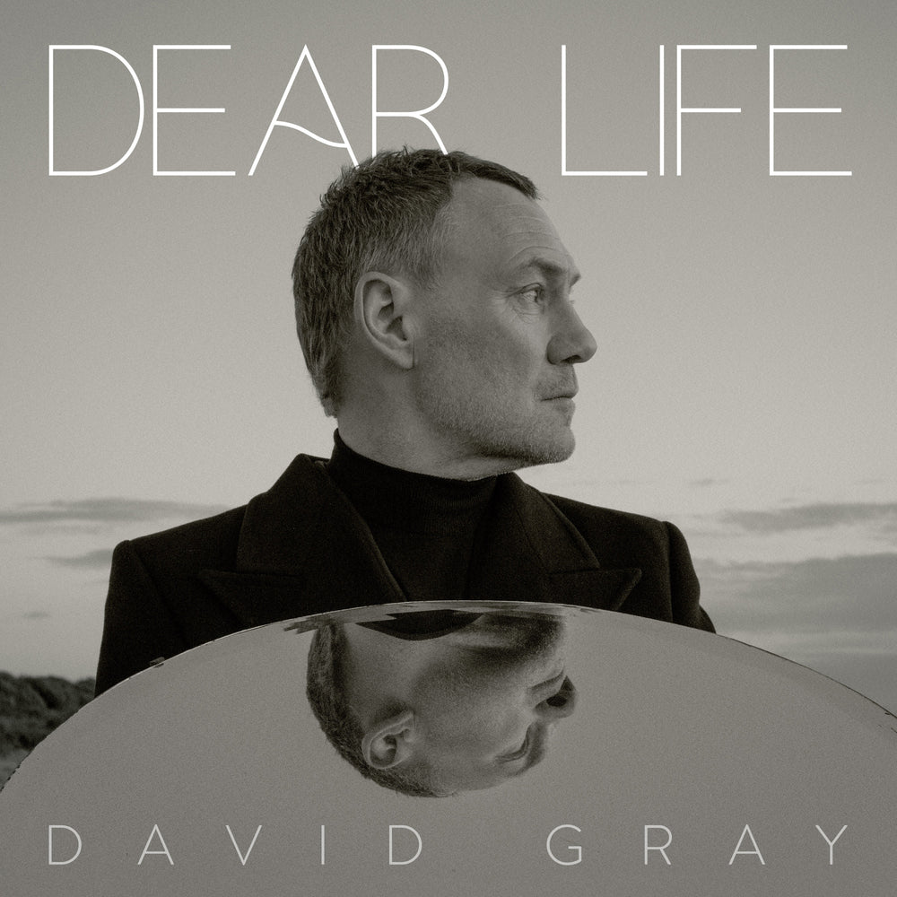 David Gray - Dear Life (2LP Seaweed Green) [Vinyl] (ONLINE ORDER ONLY)