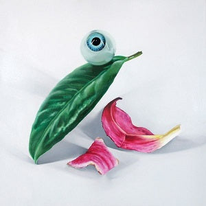 DELS - Petals Have Fallen [CD] (ONLINE ORDER ONLY)