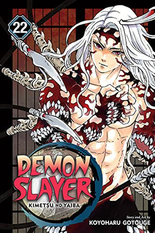 Demon Slayer Vol 22 (Online Order Only)