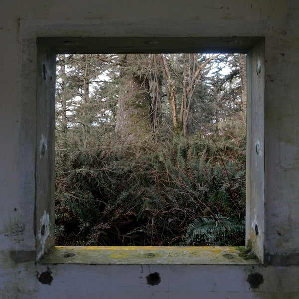 DEREK HUNTER WILSON - ScuLPtures [LP] [Vinyl]