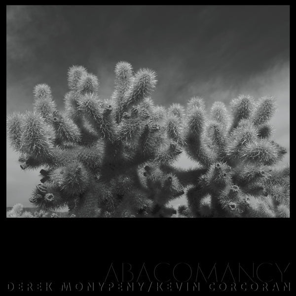 Derek Monypeny And Kevin Corcoran - Abacomancy [LP] [Vinyl]