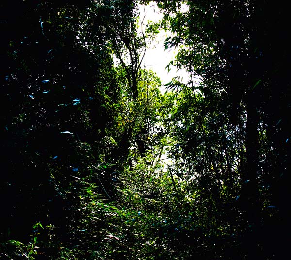 DEREK PIOTR - Tempatempat [CD] (ONLINE ORDER ONLY)