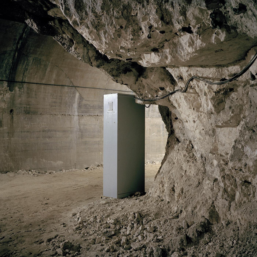 We Will Live On (MILKY CLEAR VINYL) [Vinyl] (ONLINE ORDER ONLY)