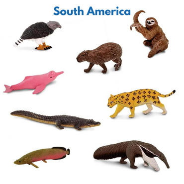 Continent Animal Miniatures: All 8  Sets (Includes Antarctica, Polar/Arctic) (ONLINE ORDER ONLY)