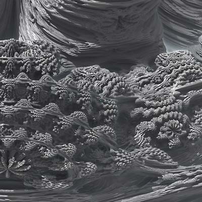 (Fake) The Facts [Vinyl] (ONLINE ORDER ONLY)