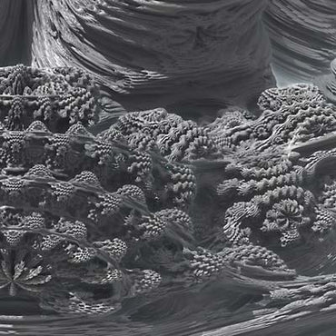 (Fake) The Facts [Vinyl] (ONLINE ORDER ONLY)