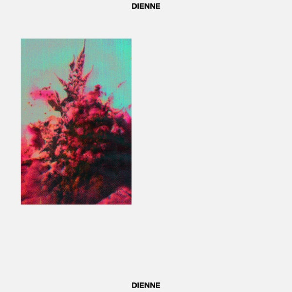 DIENNE - Addio [Vinyl]