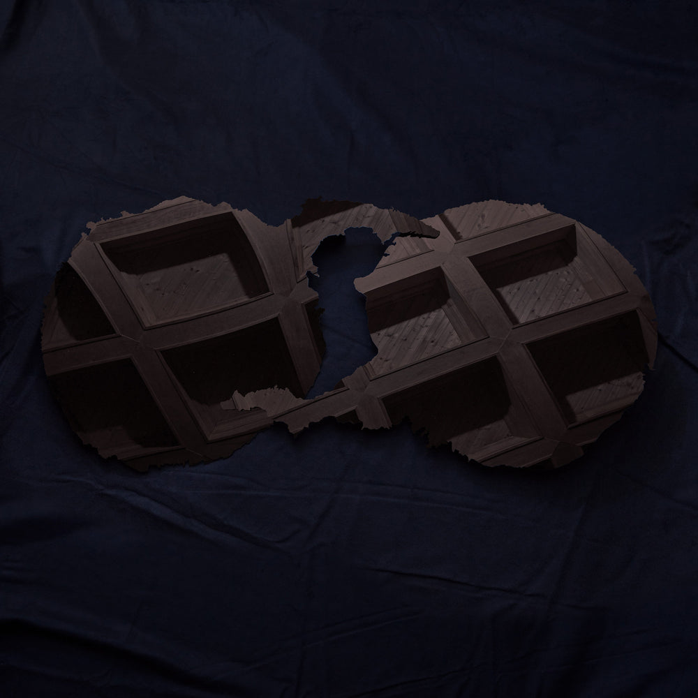 Dirty Projectors [CD]