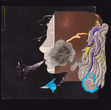 DIRTY SOUND SYSTEM - Dirty French Psychedelics [Vinyl] (ONLINE ORDER ONLY)