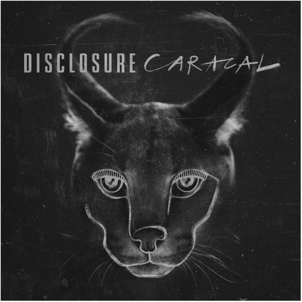 Caracal (10Th Anniversary Edition) [Zoetrope 2LP] [Vinyl] (ONLINE ORDER ONLY)