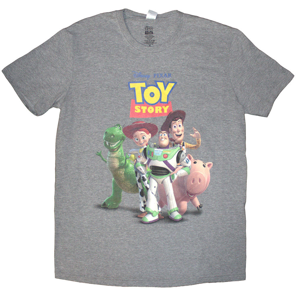 Toy Story Characters Distressed [] (ONLINE ORDER ONLY)