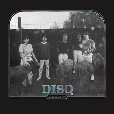 Disq - Collector [CD] (ONLINE ORDER ONLY)