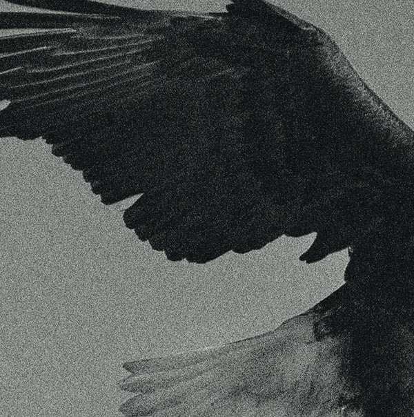 DISSEMBLANCE - Over The Sand [Vinyl] (ONLINE ORDER ONLY)