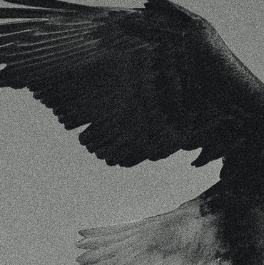 DISSEMBLANCE - Over The Sand [Vinyl] (ONLINE ORDER ONLY)