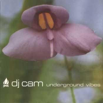 Underground Vibes [Vinyl]