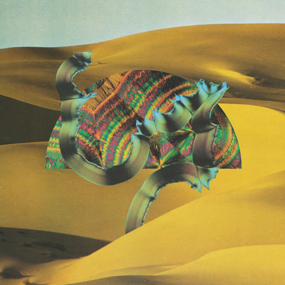 Django Django [Vinyl]