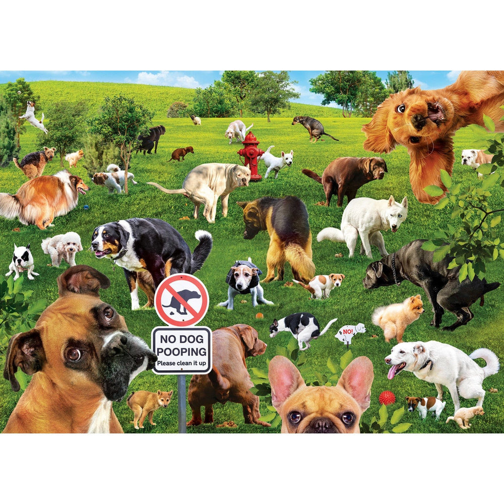 Super Dooper Poopers 1000 Piece Jigsaw Puzzle (ONLINE ORDER ONLY)