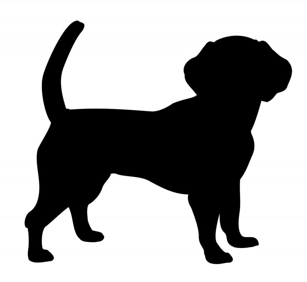 Full Custom Pet Bobblehead (ONLINE ORDER ONLY)