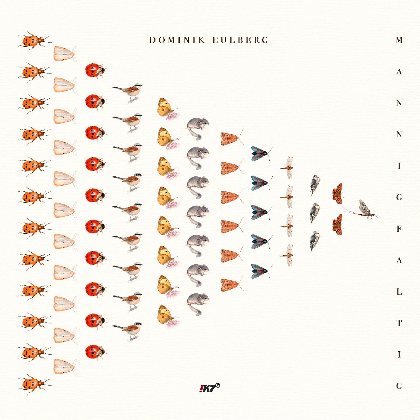 Dominik Eulberg - Mannigfaltig [Vinyl] (ONLINE ORDER ONLY)