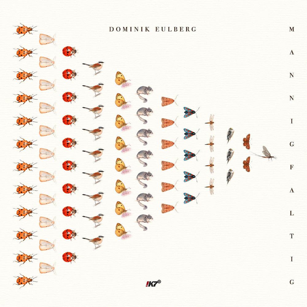 Dominik Eulberg - Mannigfaltig [Vinyl] (ONLINE ORDER ONLY)