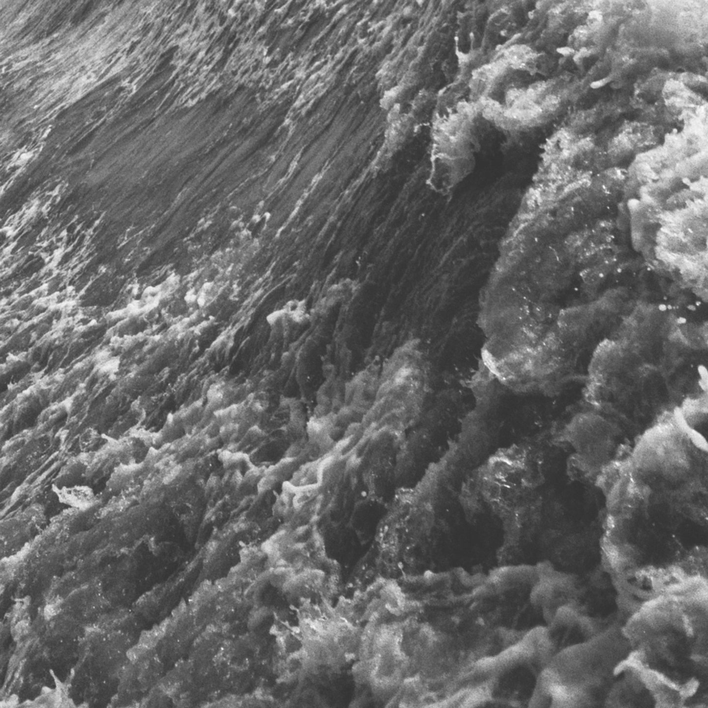 Douglas Dare - Caroline/If Only [Vinyl] (ONLINE ORDER ONLY)