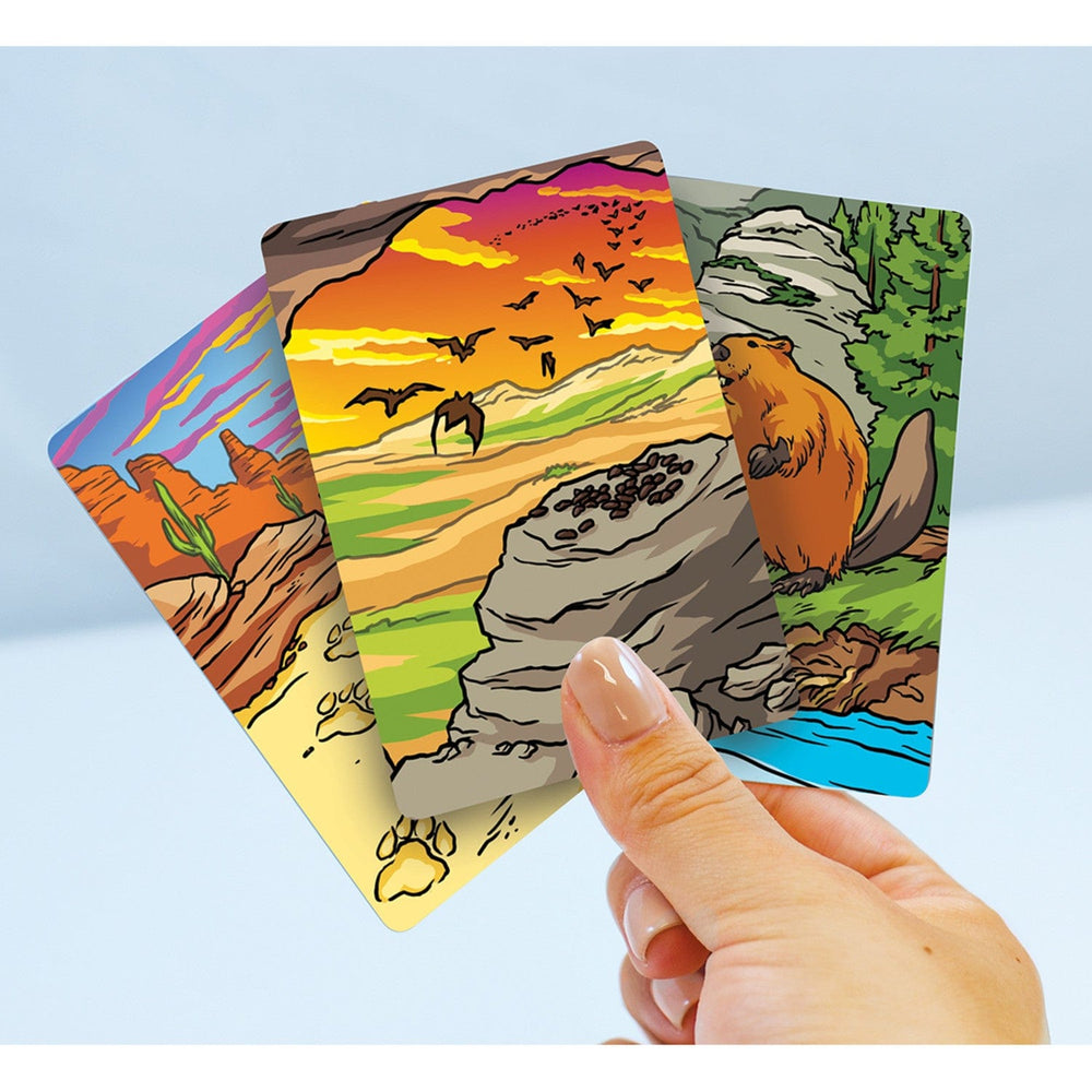 Jr. Ranger Poop Tracks Card Game (ONLINE ORDER ONLY)