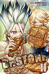 Dr. Stone Vol 11 (Online Order Only)