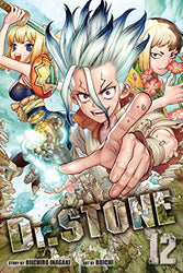 Dr. Stone Vol 12 (Online Order Only)