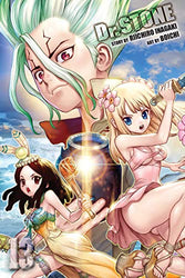 Dr. Stone Vol 13 (Online Order Only)