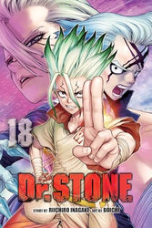Dr. Stone Vol 18 (Online Order Only)
