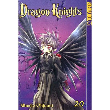 Dragon Knights Vol 20 (Online Order Only)