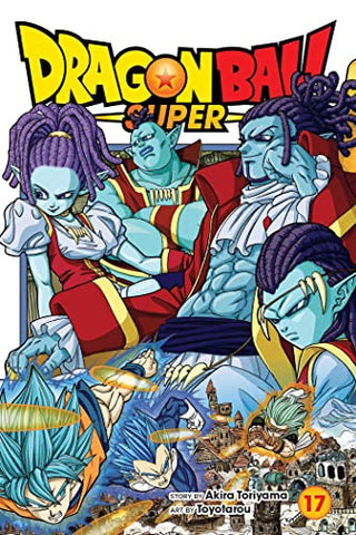 Dragon Ball Super Vol 17 (Online Order Only)