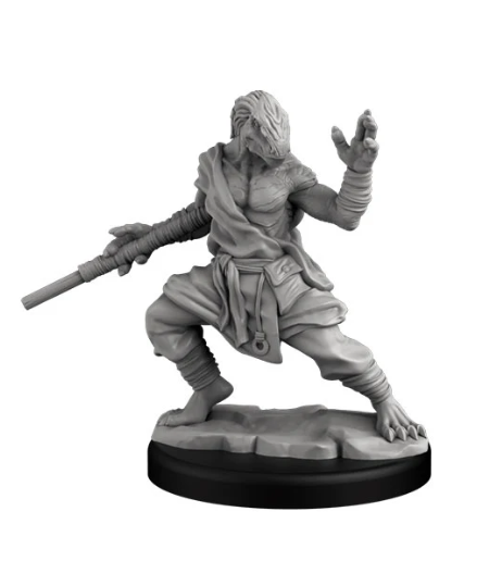 Dragonborn Monk (ONLINE ORDER ONLY)
