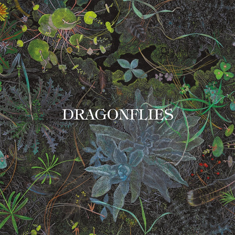 PRE-ORDER Dragonflies - Dragonflies [CD] (ONLINE ORDER ONLY)