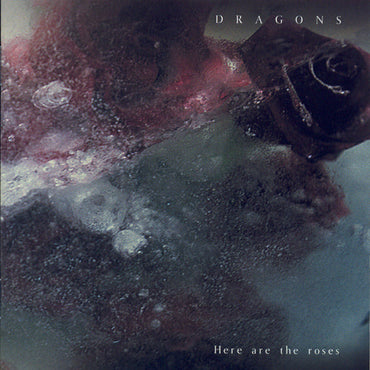Dragons - Here Are the Roses [CD] (ONLINE ORDER ONLY)