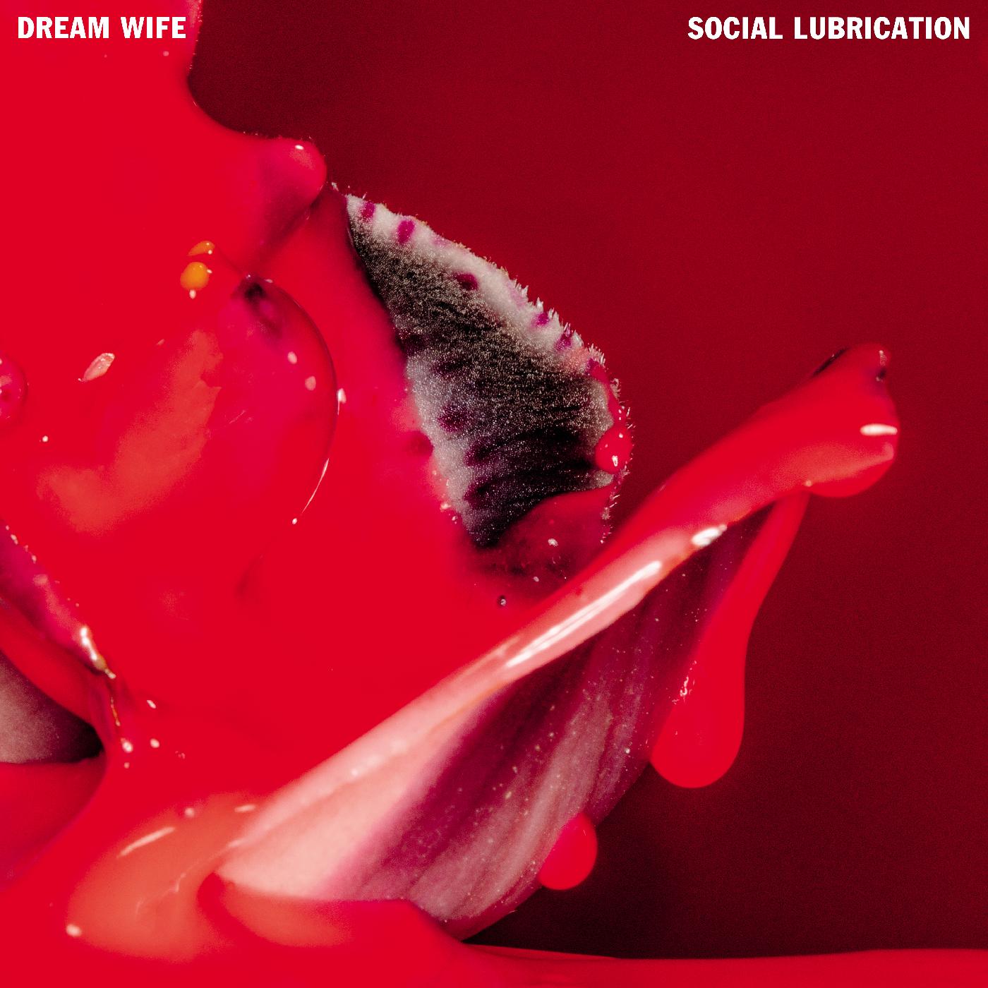 Social Lubrication (DEEP RED VINYL) [Vinyl] (ONLINE ORDER ONLY)