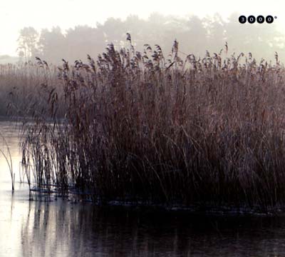 DREHER & SMART - Wandertag [CD] (ONLINE ORDER ONLY)