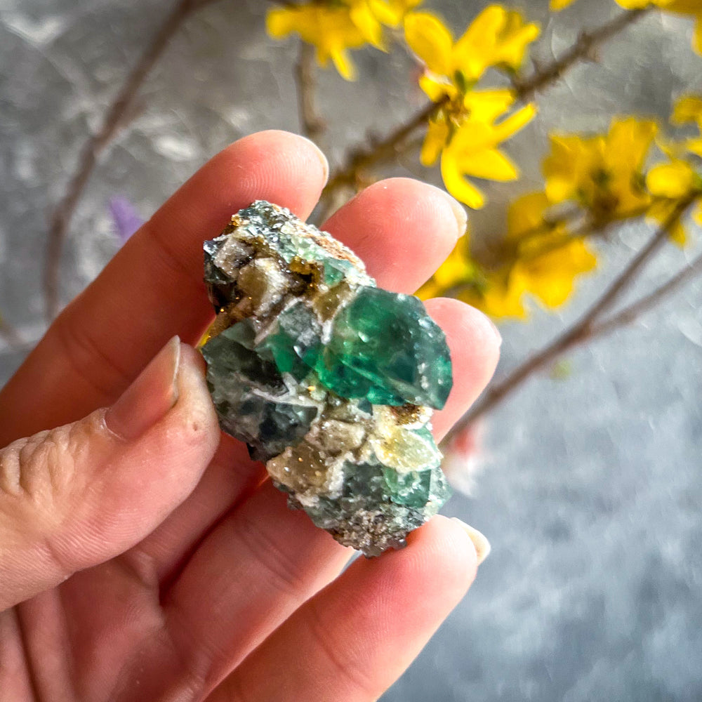 Druzy Dreams Pocket Fluorite Clusters (Color Change) Diana Maria Mine, Fluorescent Fluorite (ONLINE ORDER ONLY)