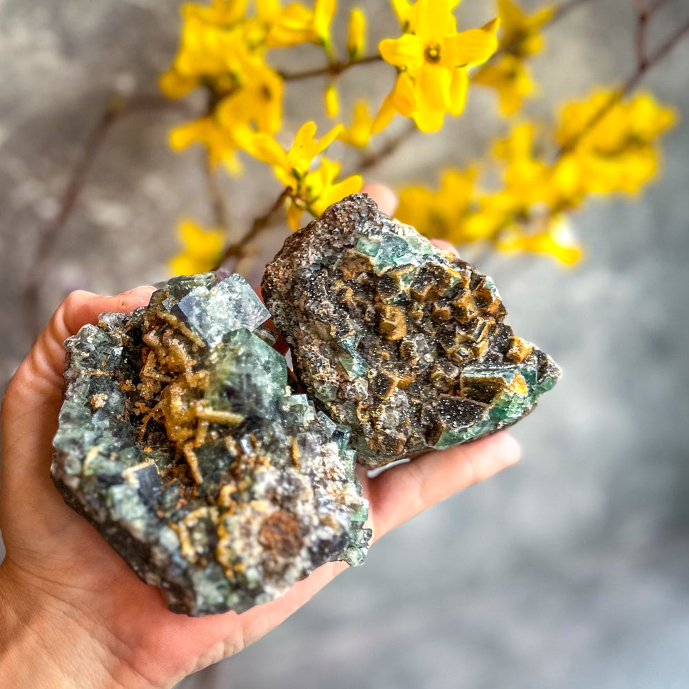 Druzy Dreams Pocket Fluorite Clusters (Color Change) Diana Maria Mine, Fluorescent Fluorite (ONLINE ORDER ONLY)