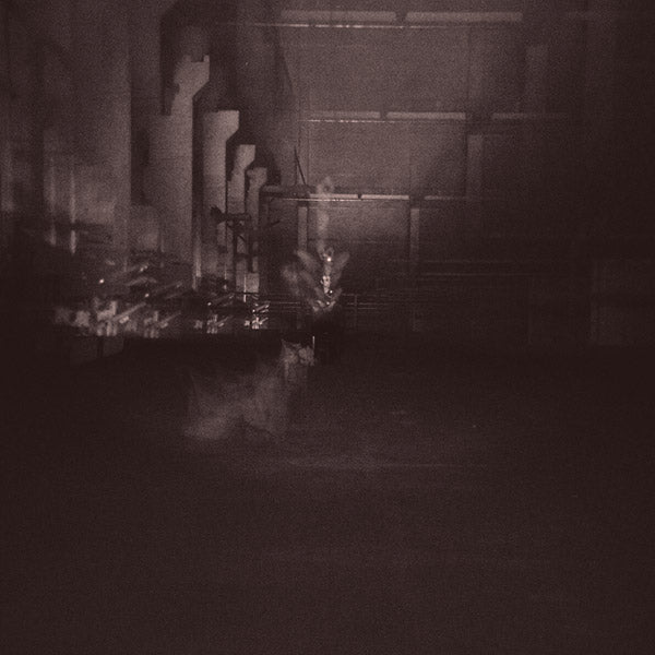 DUB TAYLOR - Caves & Cages [Vinyl]