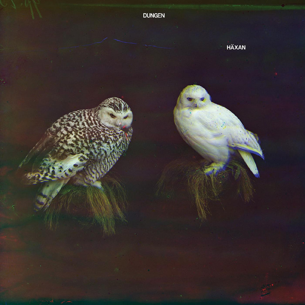 Dungen - H√§xan [CD] (ONLINE ORDER ONLY)