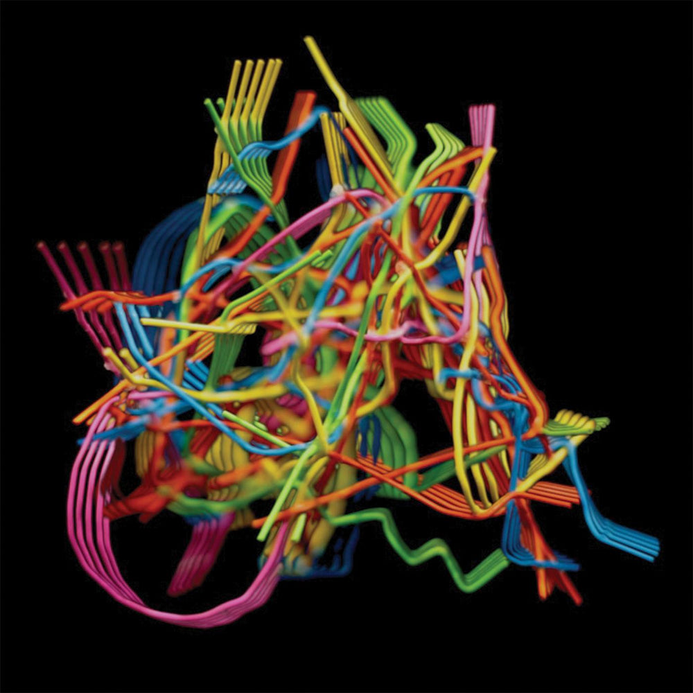 Dustin Wong - Perpetual Morphosis [CD] (ONLINE ORDER ONLY)